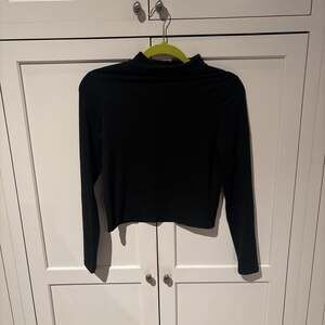 Olivia Rae Black Long Sleeve Mock-neck Cropped Top